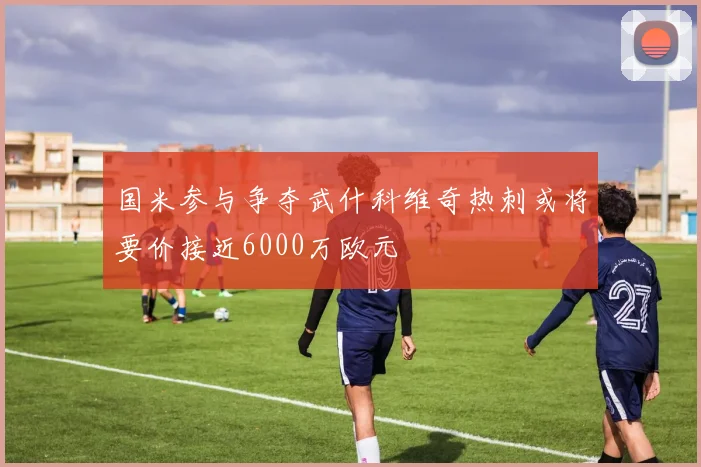 国米参与争夺武什科维奇热刺或将要价接近6000万欧元