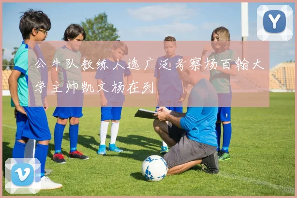 公牛队教练人选广泛考察杨百翰大学主帅凯文杨在列